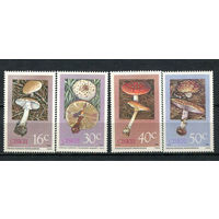 Сискей (Южная Африка) - 1988 - Грибы - [Mi. 145-148] - полная серия - 4 марки. MNH.  (LOT DA42)