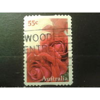 Австралия 2009 Розы, самоклейка