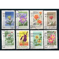 Флора СССР 1960 год серия из 8 марок
