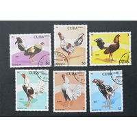 Куба 1981 г. Бойцовые петухи. Фауна. Птицы. полная серия из 6 марок #0038-Ф1P9