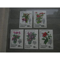 Марки - Россия, 1993 - флора, цветы, комнатные растения