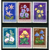 Румыния - 1979г. - Цветы - полная серия, MNH [Mi 3581-3586] - 6 марок