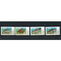 Сискей (Южная Африка) - 1985 - Рыбки - [Mi. 70-73] - полная серия - 4 марки. MNH.  (LOT DA49)