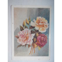 Лебедев К., Розы. Цветы. Флора. 1959 год #0002-FL1P01