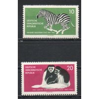100 лет Дрезденскому зоопарку ГДР 1961 год серия из 2-х марок