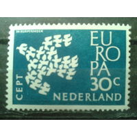 Нидерланды 1961 Европа**, концевая