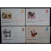 Комплект из четырех конвертов СССР  Глухари и тетерева