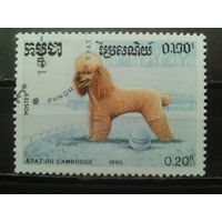 Камбоджа 1990 Собака