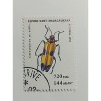 Мадагаскар 1994. Жуки