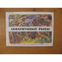 Раскраска "Аквариумные рыбы", 1975. Художник П. Батраков