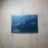 Австралия. Голубой кит