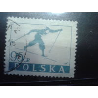 Польша, 1953, Лыжный спорт