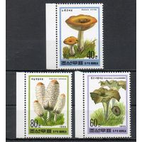 Грибы КНДР 1995 год серия из 3-х марок