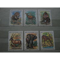 Марки - ЦАР, 1982 - фауна, хищники - лев, обезьяна, слон, жираф и др. парнокопытные