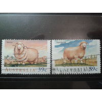 Австралия 1989 Овцеводство