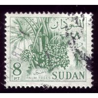 1 марка 1962 год Судан 188
