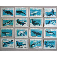 Спичечные этикетки Морские животные Набор 18 штук Злынка 1966