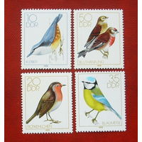ГДР. Птицы. ( 4 марки ) 1979 года. 10-4.