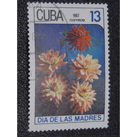 Куба 1987 г. Флора.