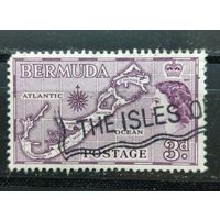 Бермудские острова 1953г.