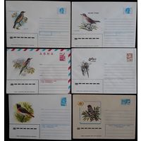 Комплект из шести конвертов СССР  Певчие птицы