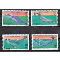 Сомали 1999 Фауна Моря Киты  MNH