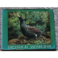 Бярэзiнскi Запаведнiк. Фотоальбом на 4 языках.