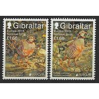 2019 Гибралтар 1896-1897 Европа Септ / Птицы 8,80 евро