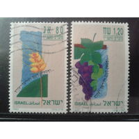 Израиль 1993 Еврейский фестиваль: цветы и виноград