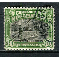 Португальские колонии - Мозамбик (Comp de Mocambique) - 1918/1925 - Дерево Ризофора 40С - [Mi.127] - 1 марка. Гашеная.  (LOT EW32)-T10P22