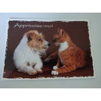 Немецкая открытка "Apprivoise-moi"