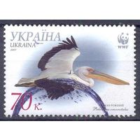 Украина 2007 WWF пеликан