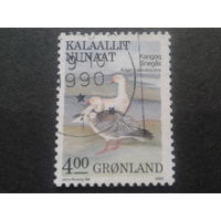 Дания Гренландия 1990 птицы