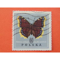 Польша 1967г. Бабочки.