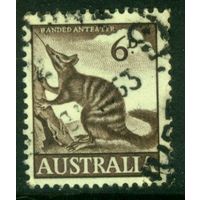 Австралия 1959 Mi# 294 Полосатый муравьед. Гашеная (AU04)