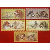 СССР. Отечественные породы охотничьих собак. ( 5 марок ) 1988 года. 10-11.