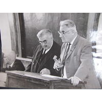 Действительные члены АН СССР В.Фок и И.Векуа на 5-й международной Гравитационной конференции (Тбилиси, 1968 г.)