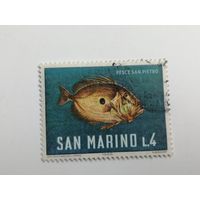 Сан Марино 1966. Морская жизнь