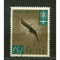 Малярийный комар. Польша. 1962