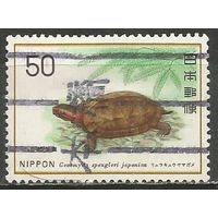 Япония. Черепаха. 1976г. Mi#1281.