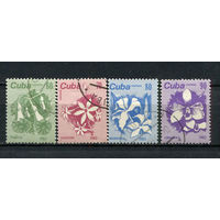 Куба - 1983 - Цветы - [Mi. 2810-2813] - полная серия - 4 марки. Гашеные.  (Лот 56CO)