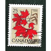 Канада: кленовые листья
