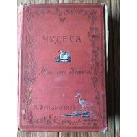 Книга 1911 года чудеса животного мира. Первое издание! Аукцион!