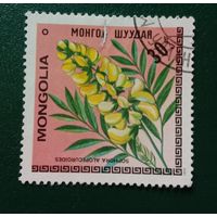 Марка Монголии 1979 Цветы