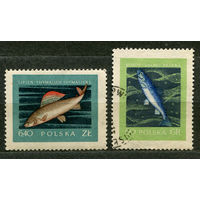 Промысловые рыбы. Польша. 1958. Серия 2 марки