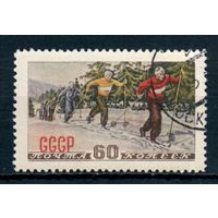 Зимний спорт СССР 1952 год 1 марка (тип II)