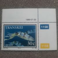 Транскей 1989. Кальмар