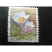 Финляндия 2000 стандарт, цветы