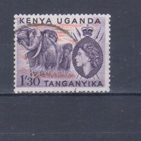 [2438] Британские колонии. Кения,Уганда и Танганьика 1954. Елизавета II.Фауна.Слоны. Гашеная марка.
