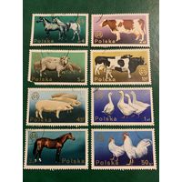 Польша 1975. Сельскохозяйственные животные. Полная серия